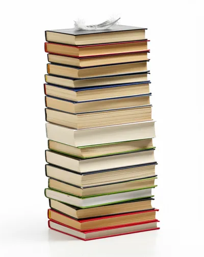 Illustration heaviest - Image 1