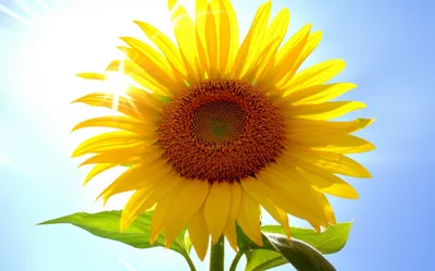 Illustration erected - Image 1