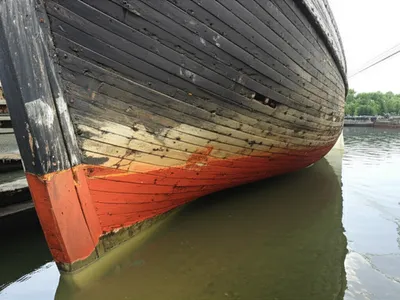 Illustration keel - Image 1