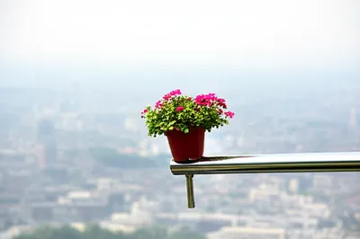 Illustration brackets - Image 1