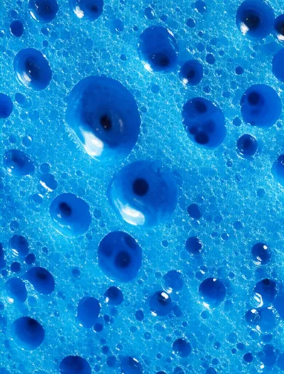 Illustration pores - Image 1