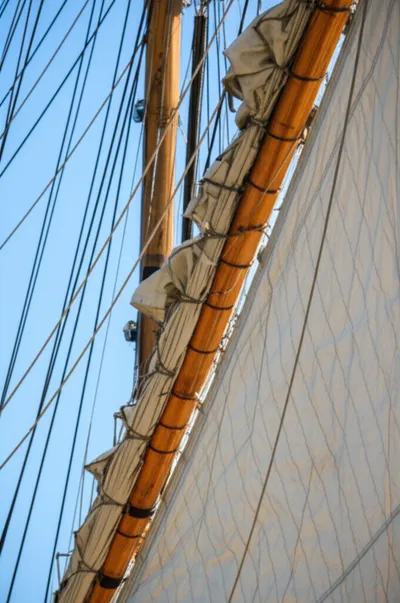 Illustration brails - Image 1