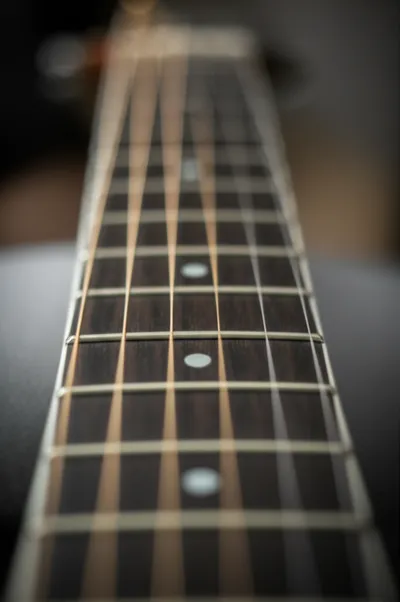 Illustration fretted - Image 2