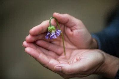 Illustration grip - Image 1