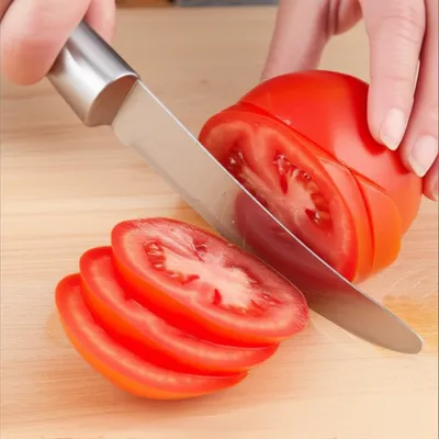 Illustration mandolin - Image 1