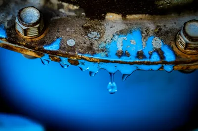 Illustration leak - Image 1