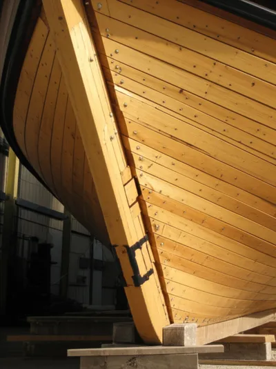 Illustration forefeet - Image 1