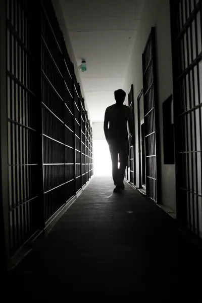 Illustration serves - Image 1