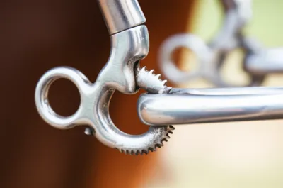 Illustration rowel - Image 1