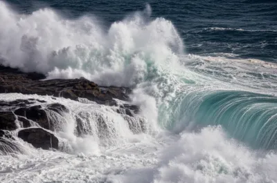 Illustration ruts - Image 1