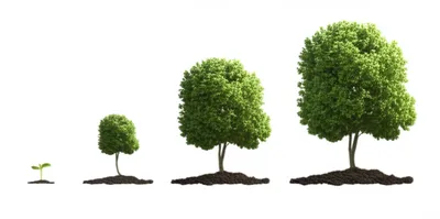 Illustration tripling - Image 1