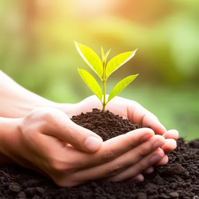 Illustration love - Image 1