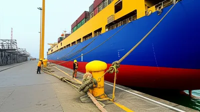 Illustration docking - Image 1