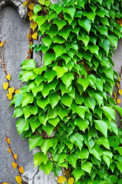 Illustration wrapped - Image 1