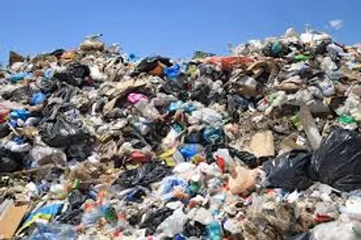 Illustration gash - Image 2