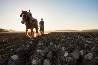 Illustration ploughs - Image 1