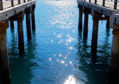 Illustration docks - Image 1