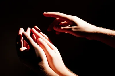 Illustration foreskin - Image 1