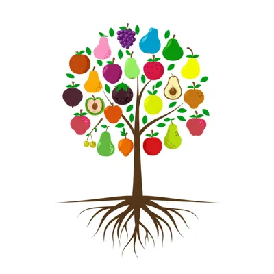 Illustration derived - Image 1