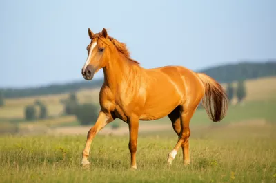 Illustration trippant - Image 1