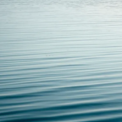 Illustration ruffling - Image 1