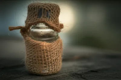 Illustration jackets - Image 1