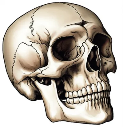 Illustration tablature - Image 1