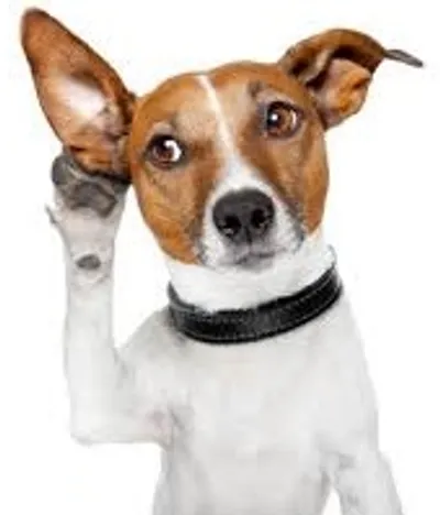 Illustration aural - Image 2