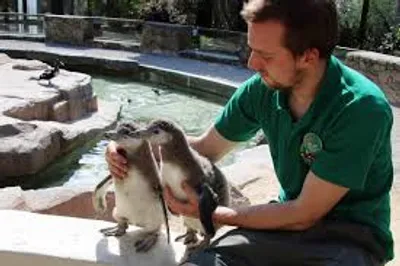 Illustration keeper - Image 4