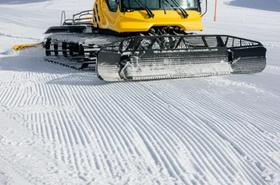 Illustration grooms - Image 1