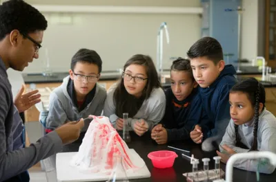 Illustration demos - Image 1