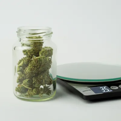 Illustration henry - Image 1