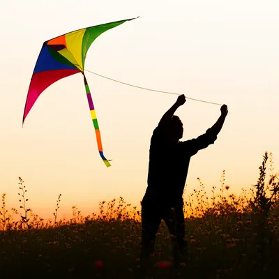 Illustration rides - Image 1