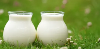 Illustration dairy - Image 1