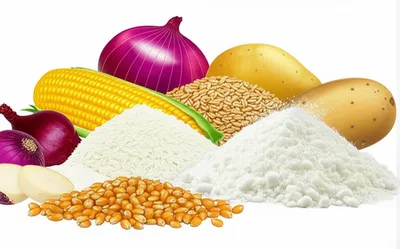 Illustration starches