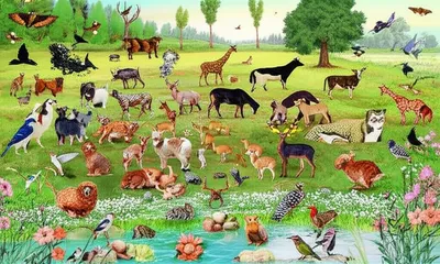 Illustration populate - Image 1