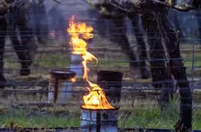 Illustration smudge - Image 2