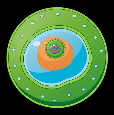 Illustration host - Image 1