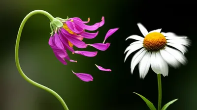 Illustration unnerving