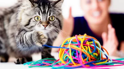 Illustration messing - Image 1