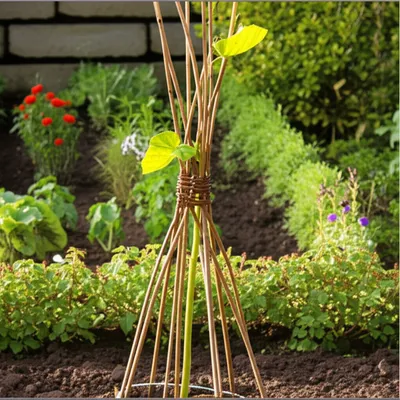 Illustration reared - Image 1