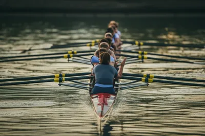 Illustration cox - Image 1