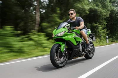 Illustration squid - Image 1