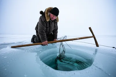 Illustration jigger - Image 1