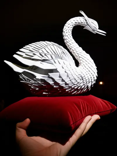 Illustration presentative - Image 1