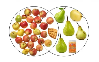 Illustration similitudes - Image 2