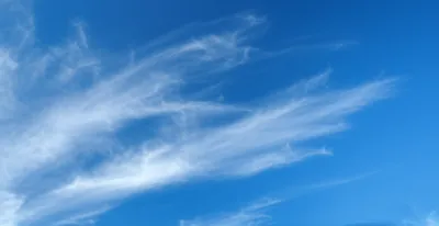 Illustration racks - Image 1