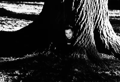 Illustration lurched - Image 1