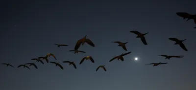 Illustration converge - Image 1