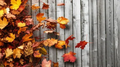 Illustration buffet - Image 1